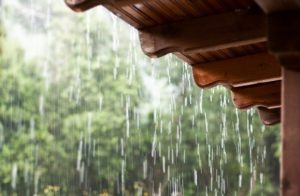 Rain Gardens, Dry Well and Seepage Pits