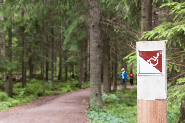 Pictured here is an accessible nature trail that features wheelchair ramps and is inclusive of individuals of all abilities.