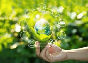 Pictured here is the process of environmental due diligence illustrated. 